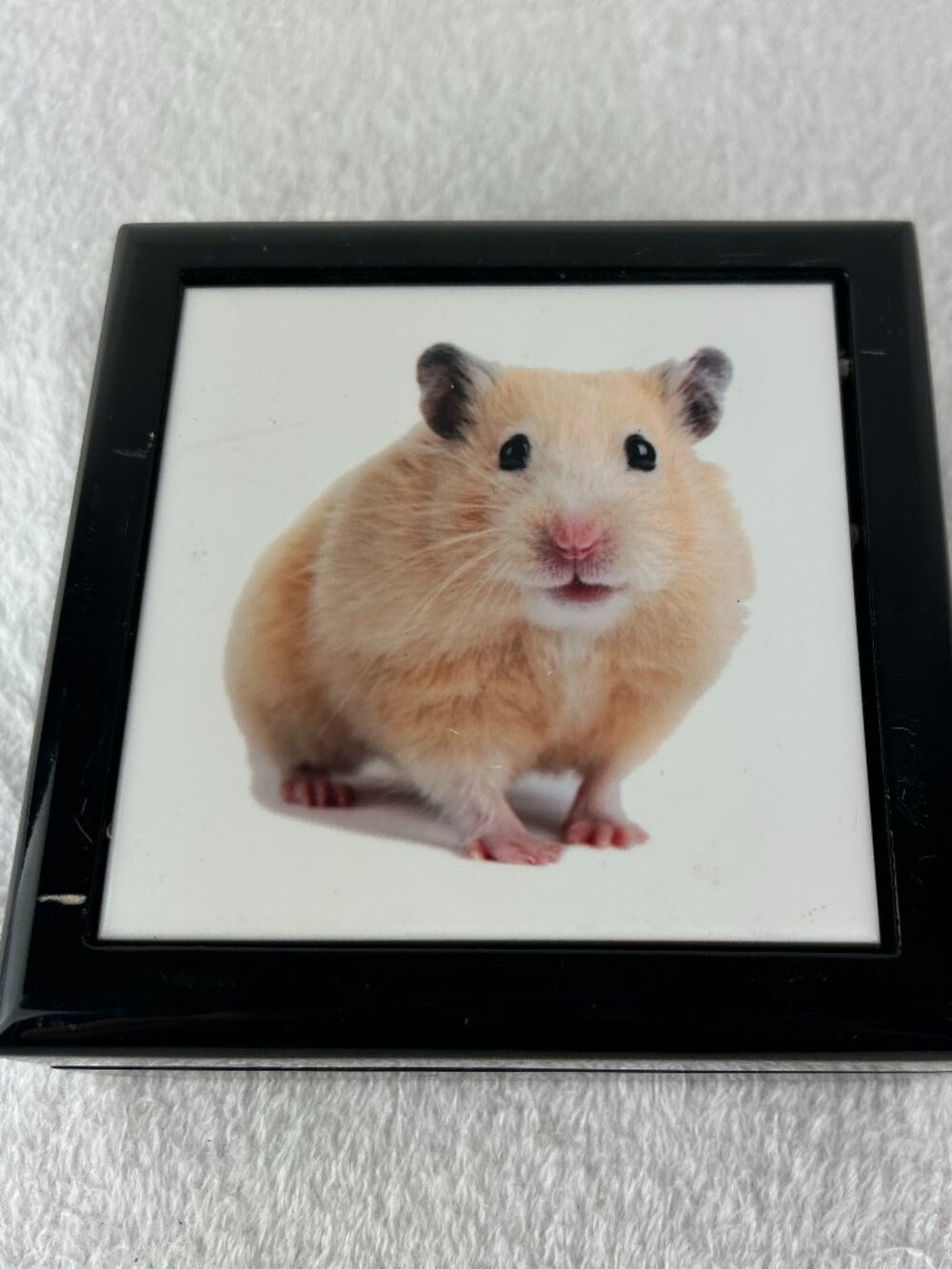 Hamster Image Wooden Jewelry Trinket Box